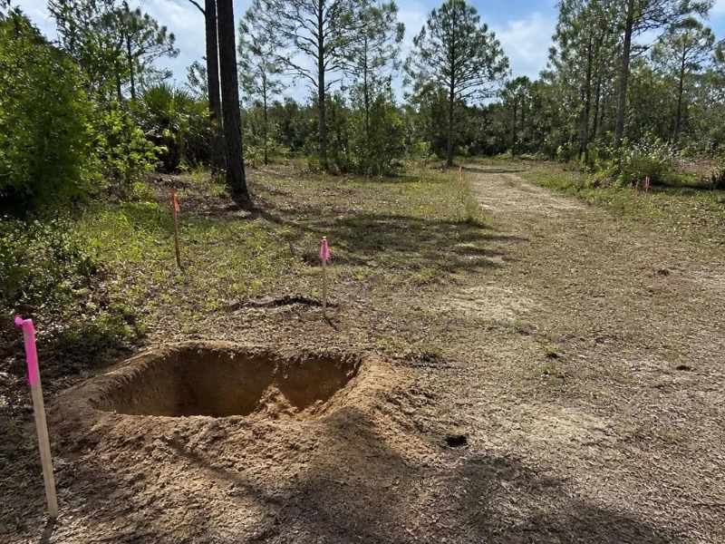 Dirt path through a pine forest with a large excavated hole in the foreground and pink survey flags marking the area.